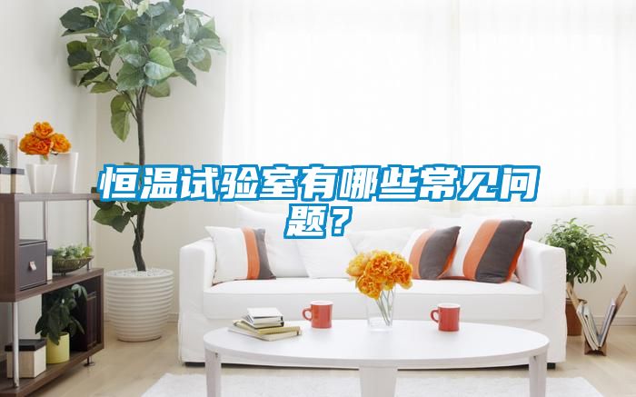 恒溫試驗(yàn)室有哪些常見(jiàn)問(wèn)題？