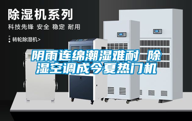陰雨連綿潮濕難耐 除濕空調(diào)成今夏熱門(mén)機(jī)