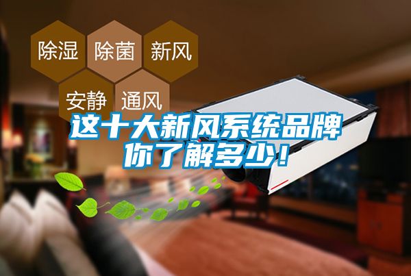 這十大新風(fēng)系統(tǒng)品牌你了解多少！