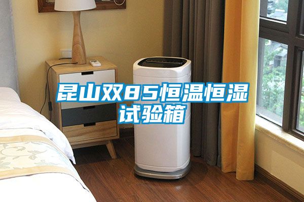 昆山雙85恒溫恒濕試驗箱