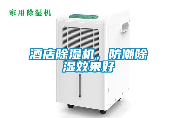 酒店除濕機，防潮除濕效果好