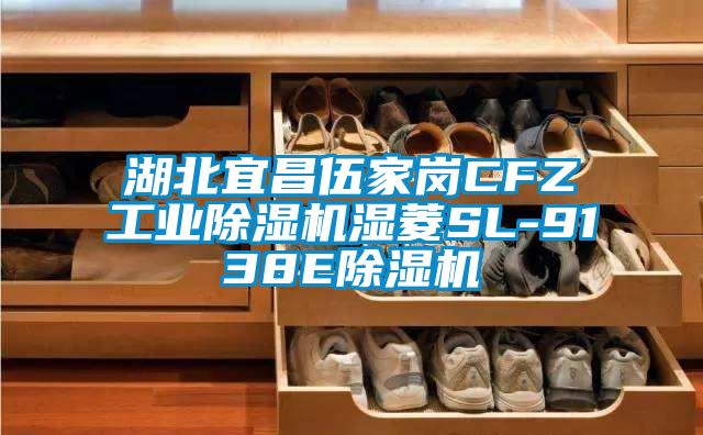 湖北宜昌伍家崗CFZ工業(yè)除濕機濕菱SL-9138E除濕機