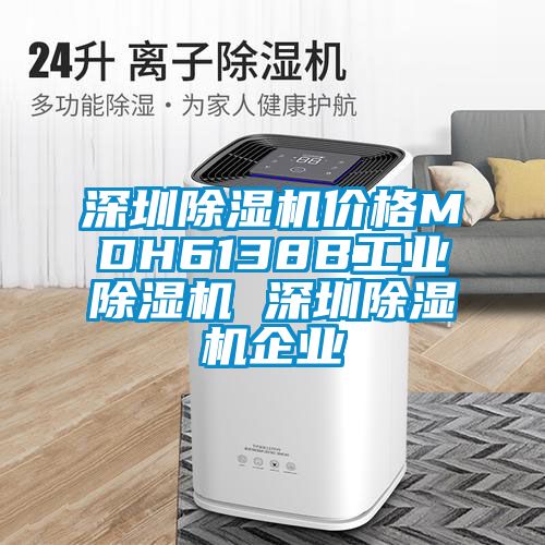 深圳除濕機(jī)價格MDH6138B工業(yè)除濕機(jī) 深圳除濕機(jī)企業(yè)