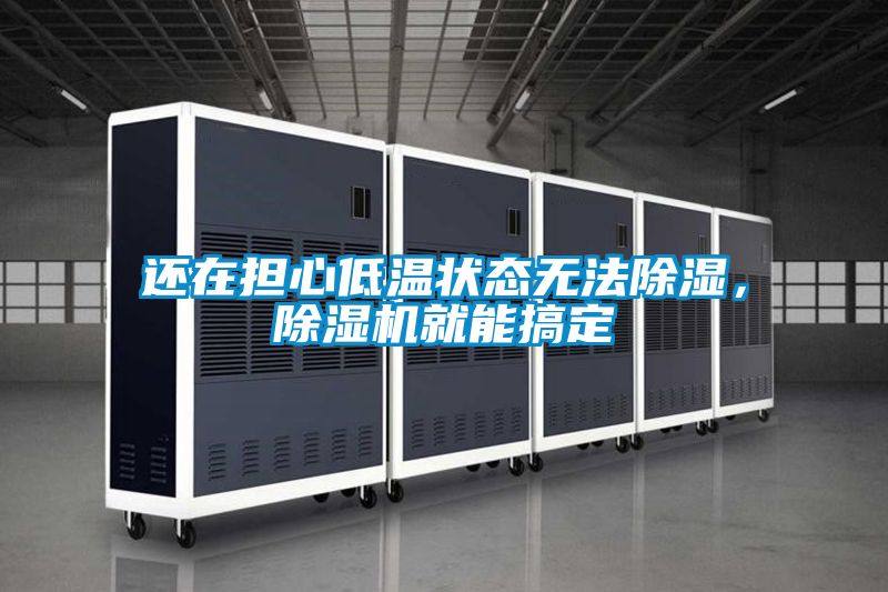還在擔心低溫狀態(tài)無法除濕，除濕機就能搞定