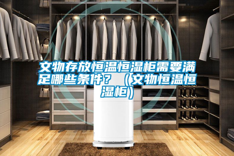 文物存放恒溫恒濕柜需要滿足哪些條件？（文物恒溫恒濕柜）