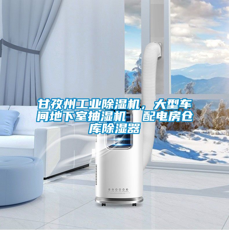 甘孜州工業(yè)除濕機(jī)，大型車間地下室抽濕機(jī)  配電房倉庫除濕器