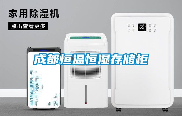 成都恒溫恒濕存儲(chǔ)柜