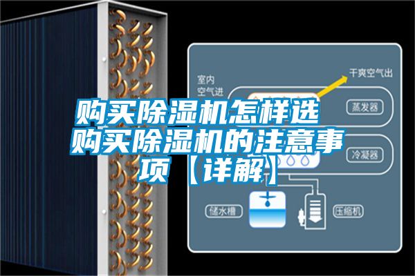 購(gòu)買除濕機(jī)怎樣選 購(gòu)買除濕機(jī)的注意事項(xiàng)【詳解】