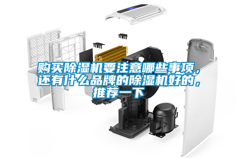 購(gòu)買除濕機(jī)要注意哪些事項(xiàng)，還有什么品牌的除濕機(jī)好的，推薦一下