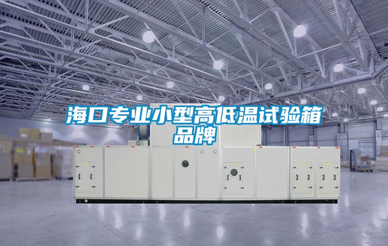 ?？趯I(yè)小型高低溫試驗箱品牌
