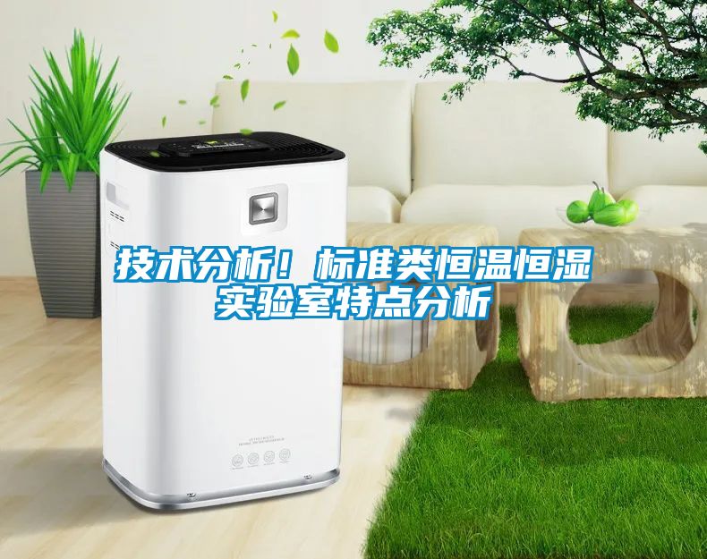 技術(shù)分析！標準類恒溫恒濕實驗室特點分析