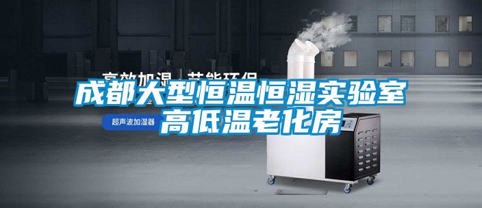 成都大型恒溫恒濕實驗室 高低溫老化房