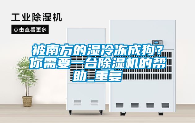 被南方的濕冷凍成狗？你需要一臺(tái)除濕機(jī)的幫助_重復(fù)