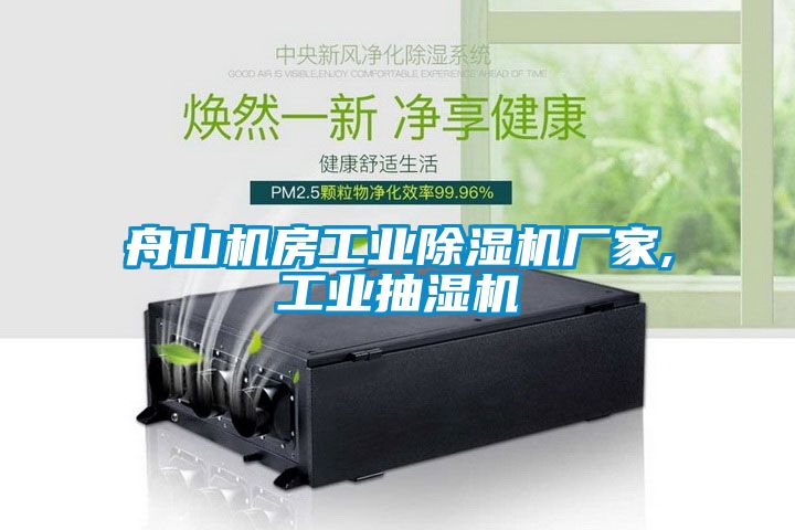 舟山機(jī)房工業(yè)除濕機(jī)廠家,工業(yè)抽濕機(jī)