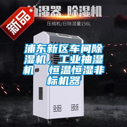 浦東新區(qū)車間除濕機(jī)，工業(yè)抽濕機(jī)  恒溫恒濕非標(biāo)機(jī)器