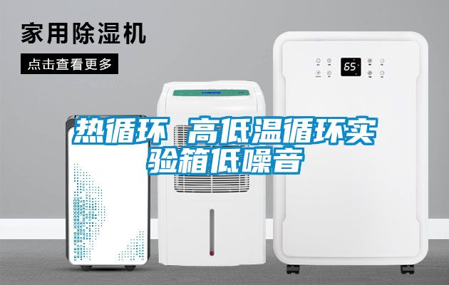 熱循環(huán) 高低溫循環(huán)實驗箱低噪音