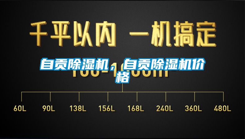 自貢除濕機(jī)，自貢除濕機(jī)價(jià)格