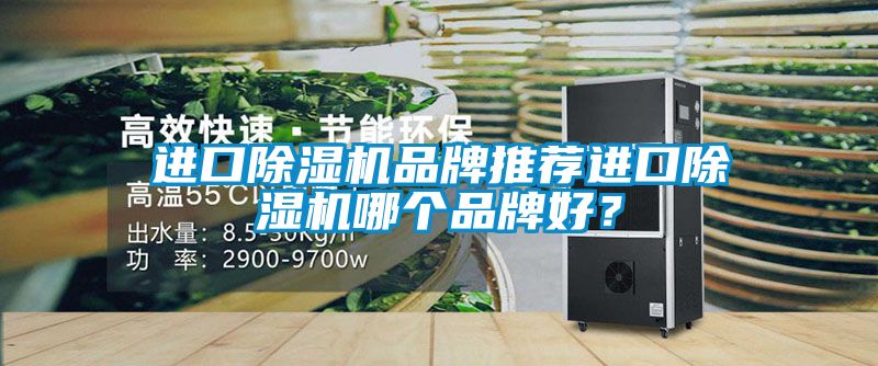 進(jìn)口除濕機(jī)品牌推薦進(jìn)口除濕機(jī)哪個(gè)品牌好？