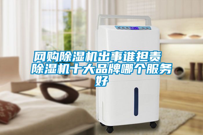 網(wǎng)購除濕機(jī)出事誰擔(dān)責(zé) 除濕機(jī)十大品牌哪個(gè)服務(wù)好