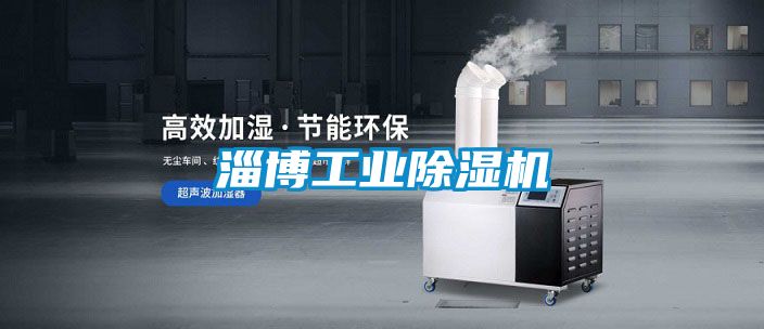 淄博工業(yè)除濕機(jī)