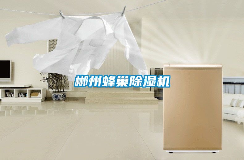 郴州蜂巢除濕機(jī)