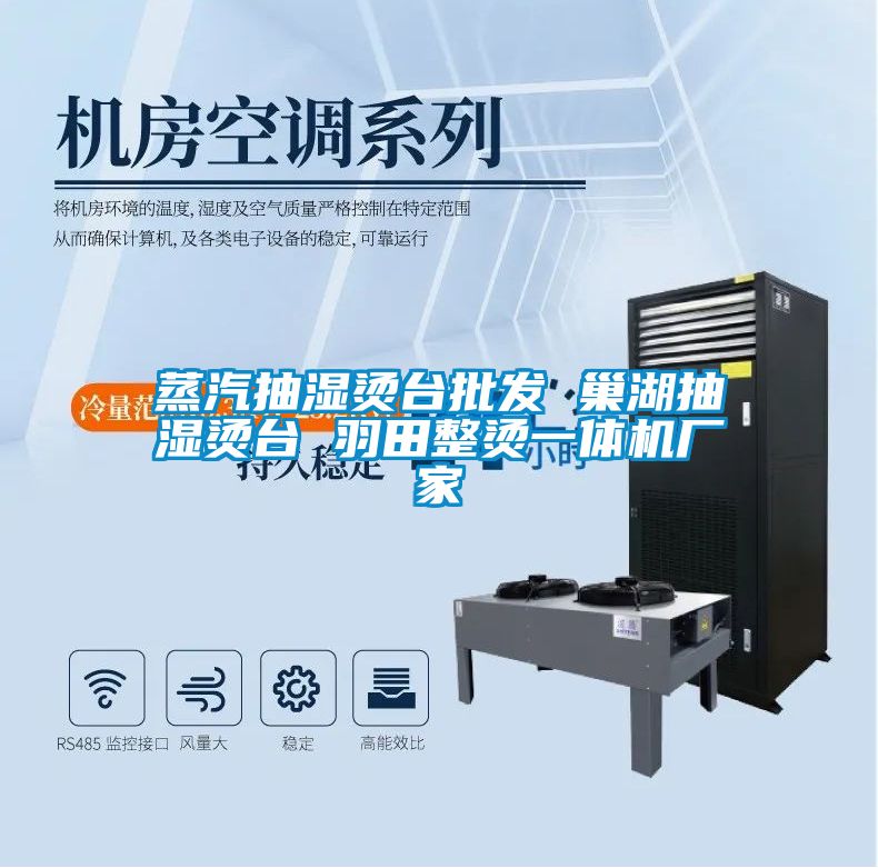 蒸汽抽濕燙臺(tái)批發(fā) 巢湖抽濕燙臺(tái) 羽田整燙一體機(jī)廠家