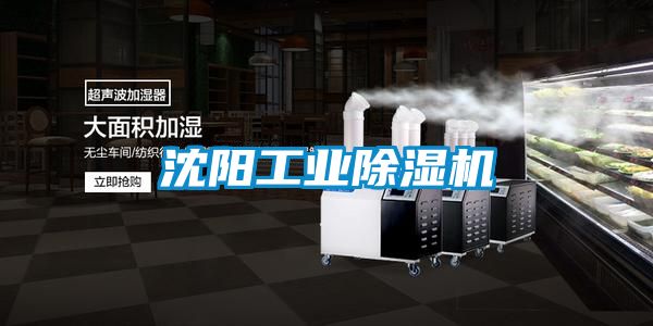 沈陽工業(yè)除濕機(jī)