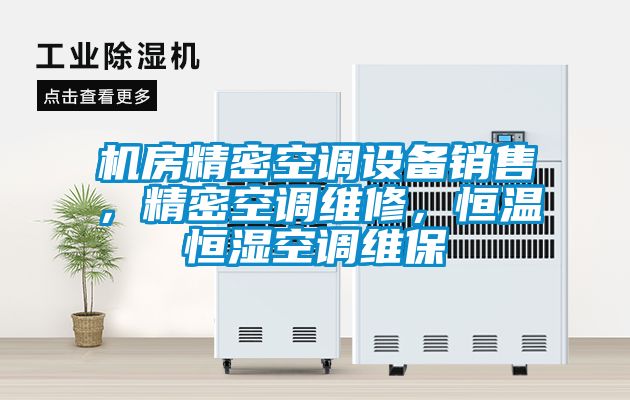 機(jī)房精密空調(diào)設(shè)備銷(xiāo)售，精密空調(diào)維修，恒溫恒濕空調(diào)維保