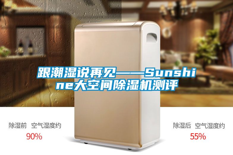 跟潮濕說(shuō)再見(jiàn)——Sunshine大空間除濕機(jī)測(cè)評(píng)