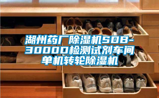 湖州藥廠除濕機SDB-3000D檢測試劑車間單機轉(zhuǎn)輪除濕機