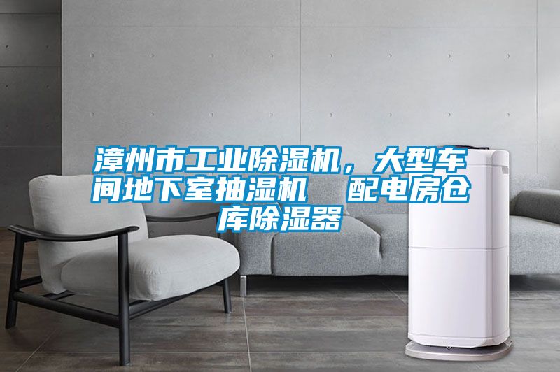漳州市工業(yè)除濕機(jī)，大型車間地下室抽濕機(jī)  配電房倉(cāng)庫(kù)除濕器