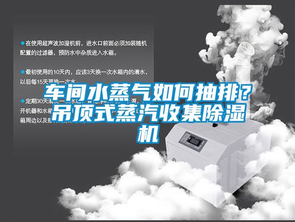 車間水蒸氣如何抽排？吊頂式蒸汽收集除濕機(jī)