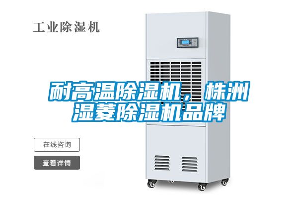 耐高溫除濕機(jī)，株洲濕菱除濕機(jī)品牌