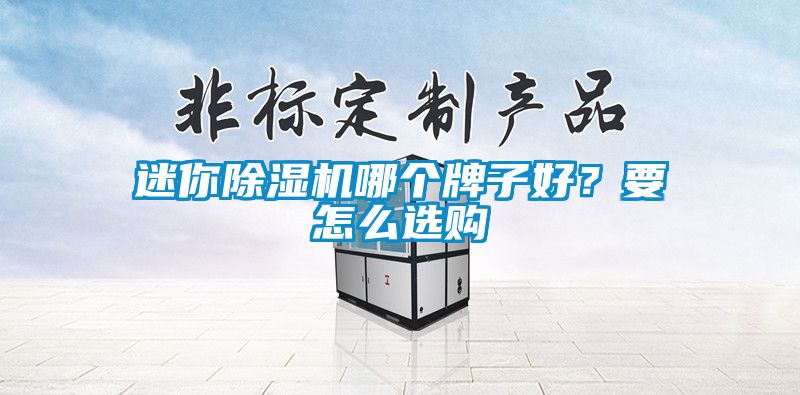 迷你除濕機(jī)哪個(gè)牌子好？要怎么選購