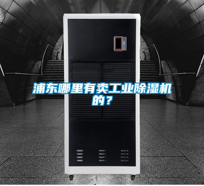 浦東哪里有賣工業(yè)除濕機(jī)的？