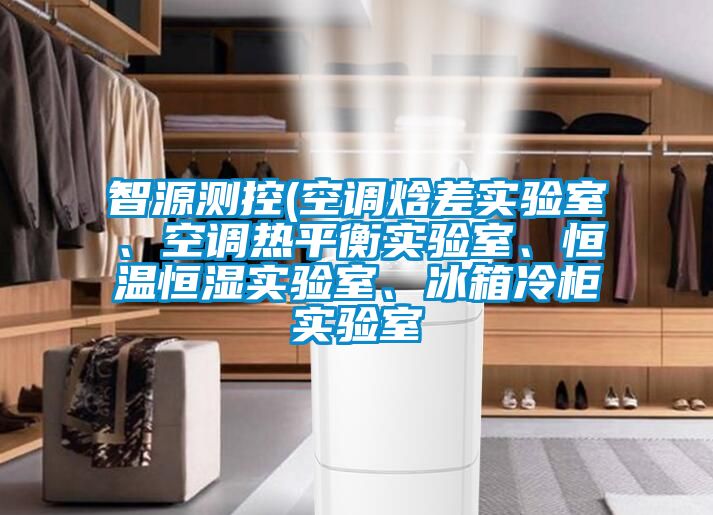 智源測(cè)控(空調(diào)焓差實(shí)驗(yàn)室、空調(diào)熱平衡實(shí)驗(yàn)室、恒溫恒濕實(shí)驗(yàn)室、冰箱冷柜實(shí)驗(yàn)室