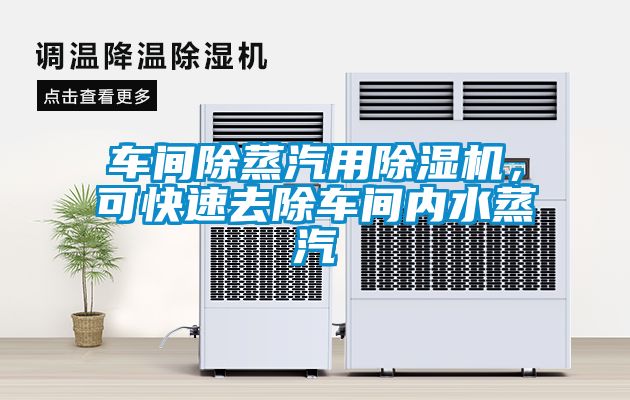 車間除蒸汽用除濕機(jī)，可快速去除車間內(nèi)水蒸汽