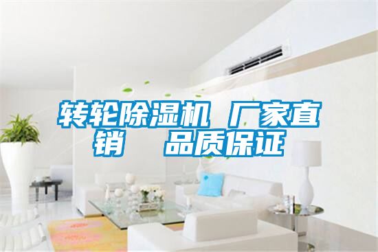 轉(zhuǎn)輪除濕機 廠家直銷  品質(zhì)保證