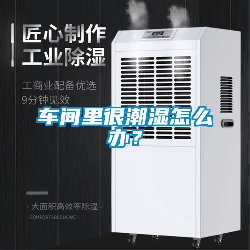 車間里很潮濕怎么辦？