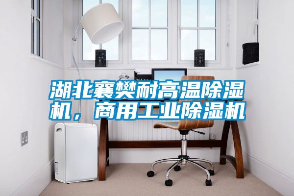 湖北襄樊耐高溫除濕機，商用工業(yè)除濕機