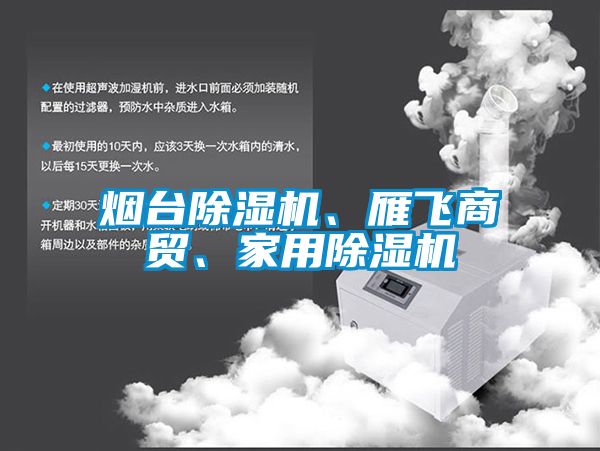 煙臺(tái)除濕機(jī)、雁飛商貿(mào)、家用除濕機(jī)
