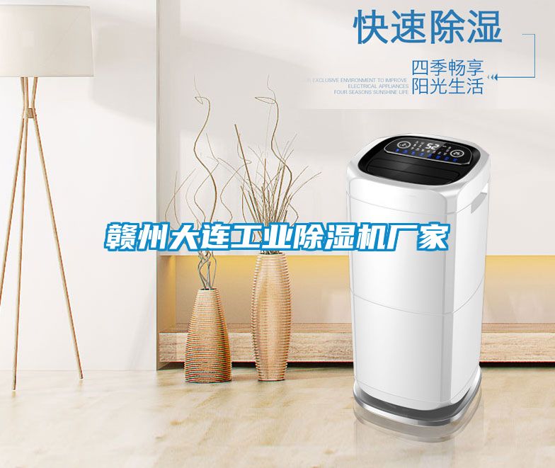 贛州大連工業(yè)除濕機廠家