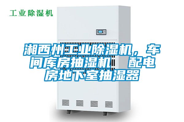 湘西州工業(yè)除濕機(jī)，車間庫房抽濕機(jī)  配電房地下室抽濕器