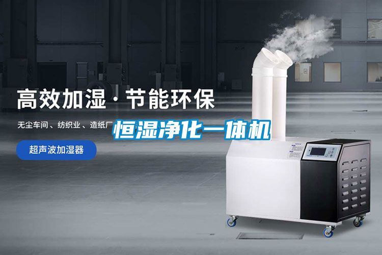恒濕凈化一體機