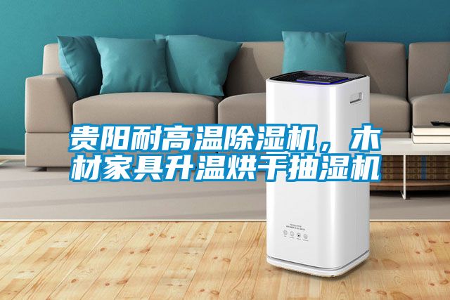 貴陽耐高溫除濕機(jī)，木材家具升溫烘干抽濕機(jī)