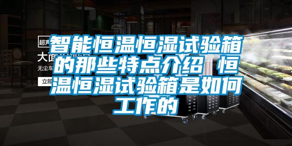 智能恒溫恒濕試驗(yàn)箱的那些特點(diǎn)介紹 恒溫恒濕試驗(yàn)箱是如何工作的