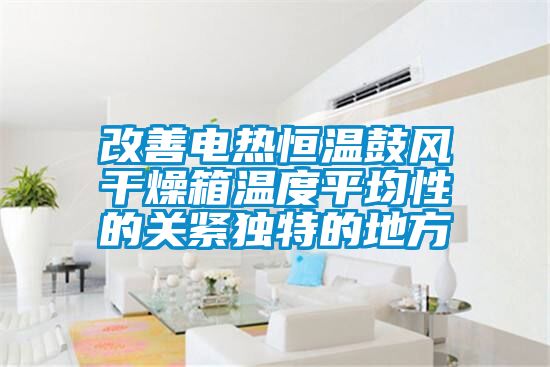 改善電熱恒溫鼓風(fēng)干燥箱溫度平均性的關(guān)緊獨特的地方