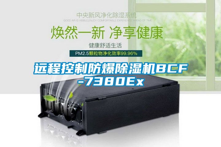 遠(yuǎn)程控制防爆除濕機(jī)BCF-7380Ex