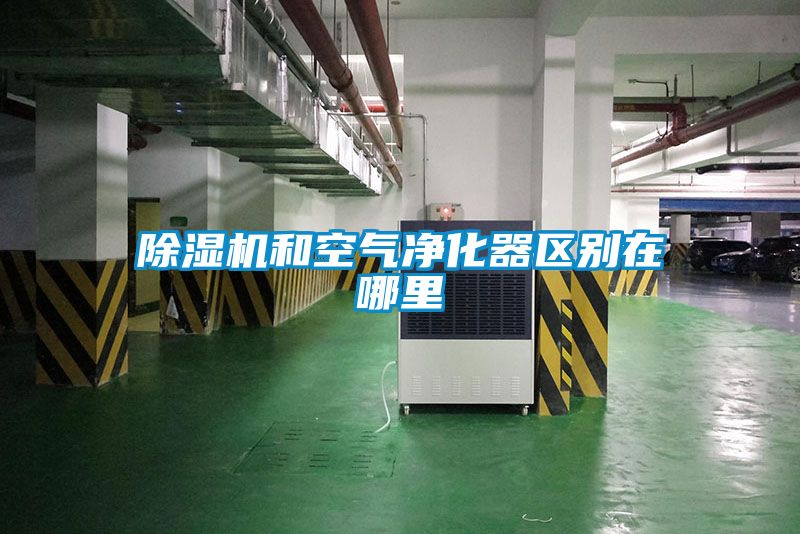 除濕機(jī)和空氣凈化器區(qū)別在哪里