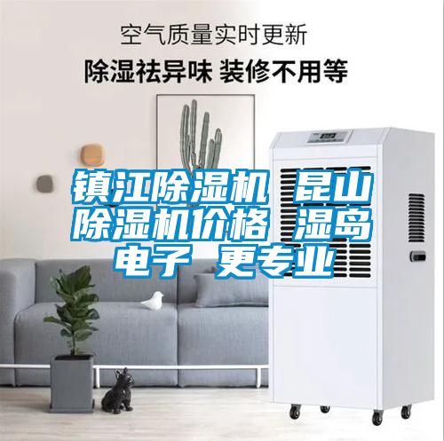 鎮(zhèn)江除濕機 昆山除濕機價格 濕島電子 更專業(yè)